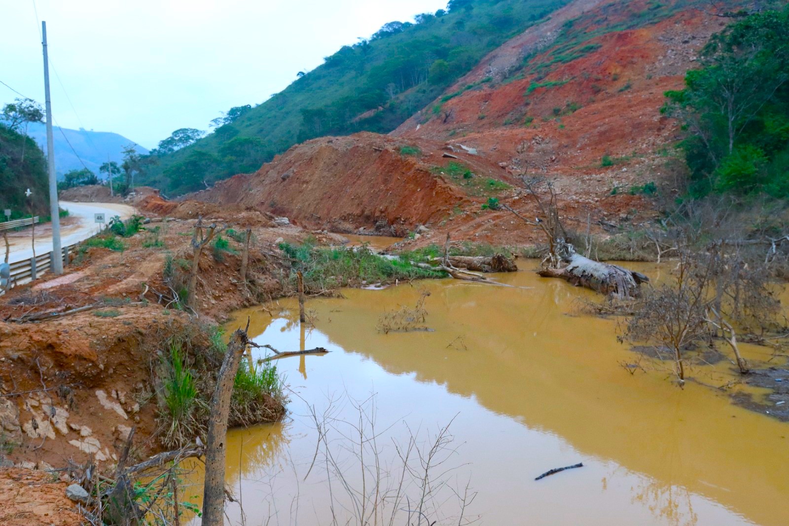 Insistencia por la vialidad
